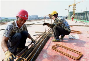 聚一蝦整肢蝦生產(chǎn)項(xiàng)目進(jìn)展順利，建筑智能化系統(tǒng)設(shè)計(jì)助力高效試生產(chǎn)